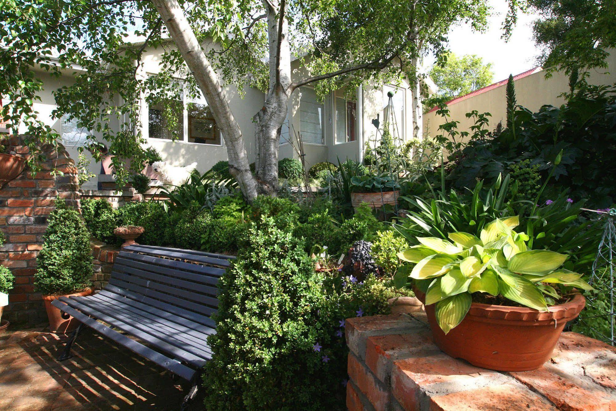 Topiary Haven Launceston Luaran gambar